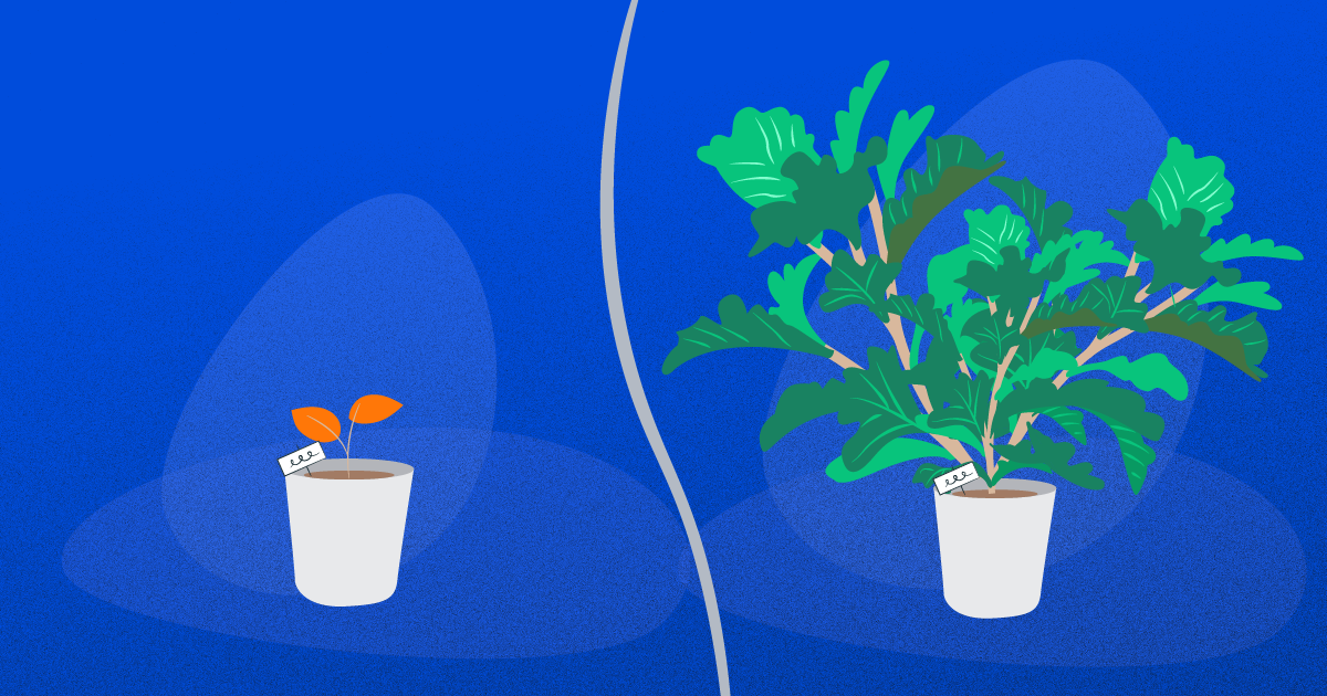 Growth Marketing Agencies: Expectations vs. Reality